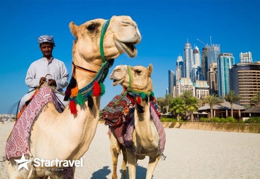 Ngày 1: Hồ Chí Minh - Dubai